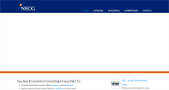 Desktop Screenshot of nuclear-economics.com